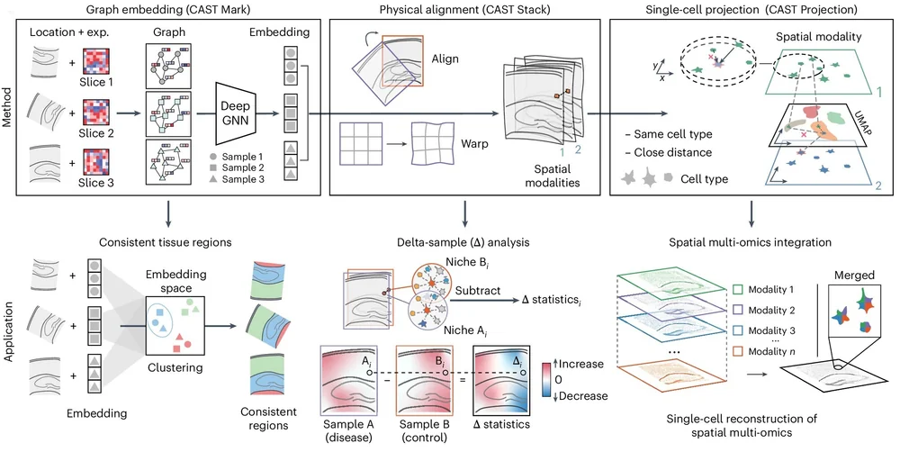 Search and match across spatial omics samples at single-cell resolution