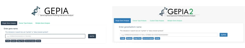 GEPIA: a web server for cancer and normal gene expression profiling and interactive analyses
